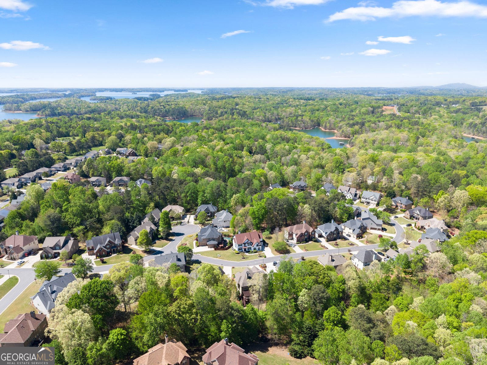 8930 Yellow Pine Court Gainesville - Photo 81