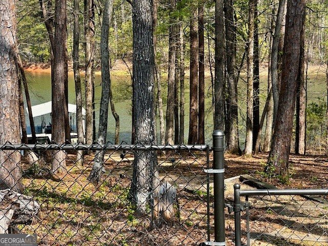 110 Thomas Drive Lagrange - Photo 29