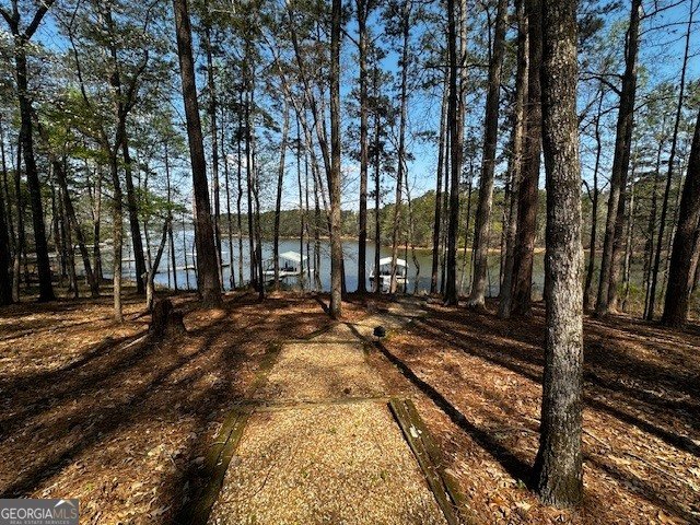 110 Thomas Drive Lagrange - Photo 31