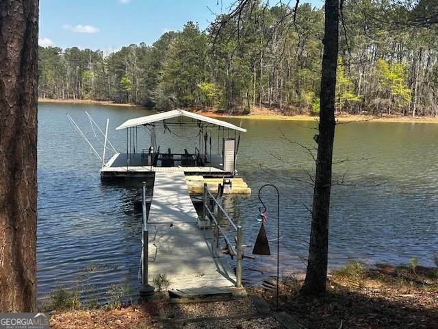 110 Thomas Drive Lagrange - Photo 32