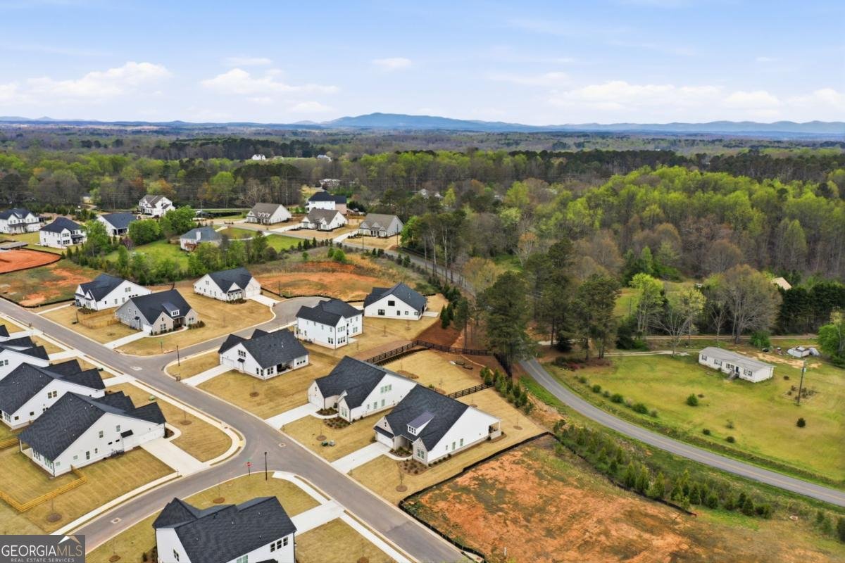 6405 Wallace Farms Drive Cumming - Photo 39