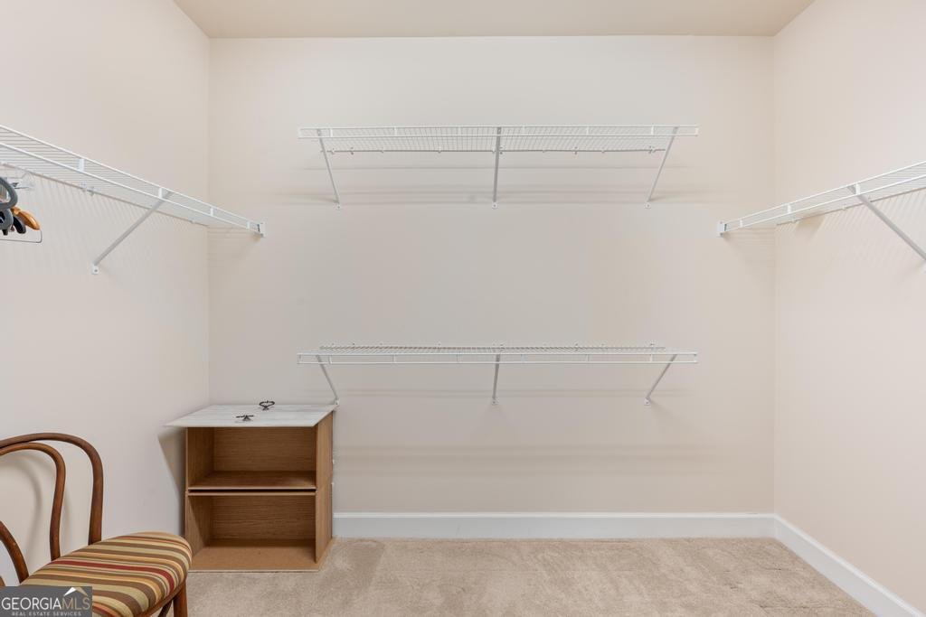 229 Begonia Court Griffin - Photo 41