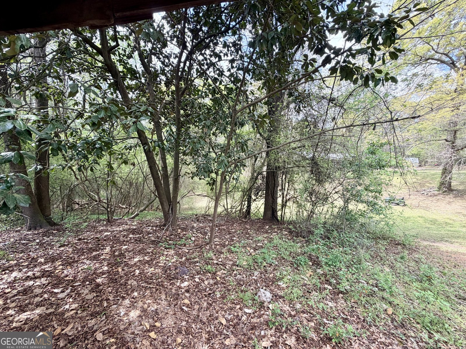 3608 Franklinton Road Dry Branch - Photo 8