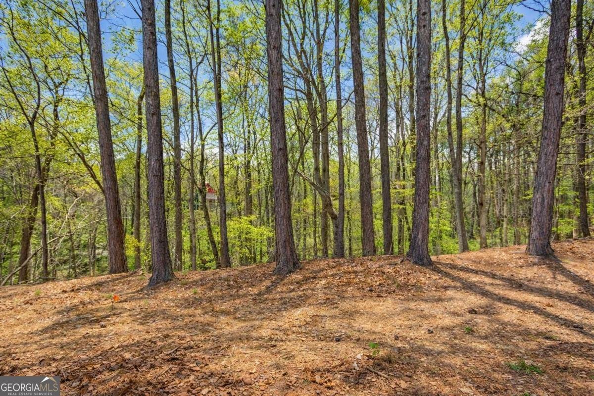 3340 Hidden Cove Circle Peachtree Corners - Photo 23