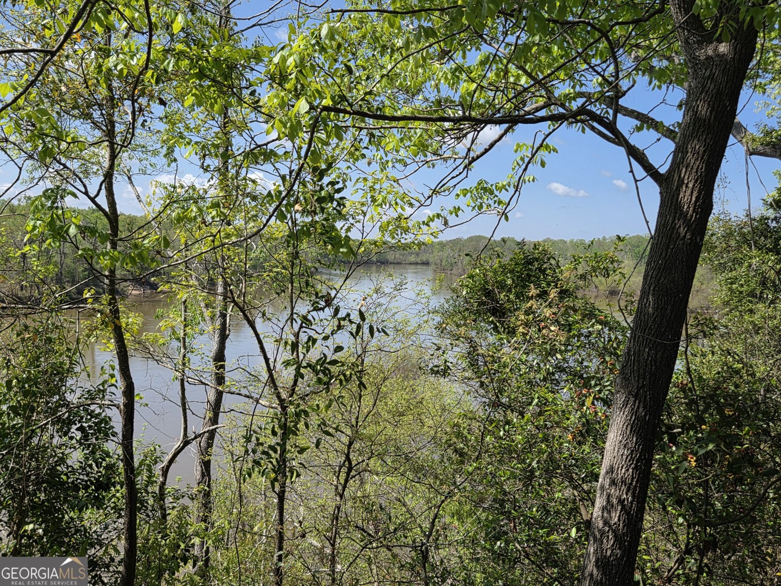 674 McNatt Falls Road Uvalda - Photo 54