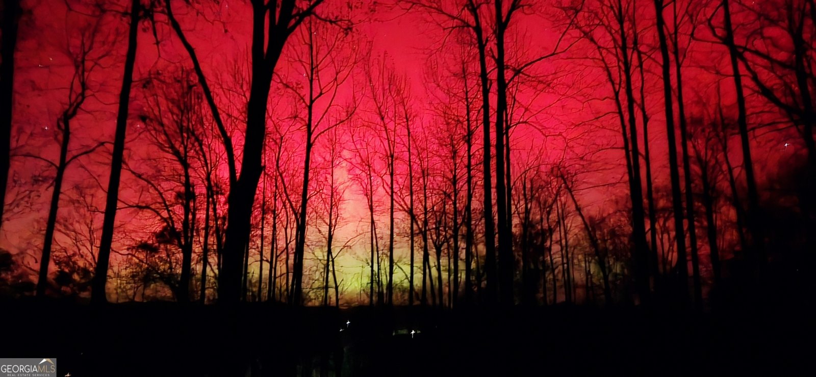 1289 Rainwater Trail Tiger - Photo 10