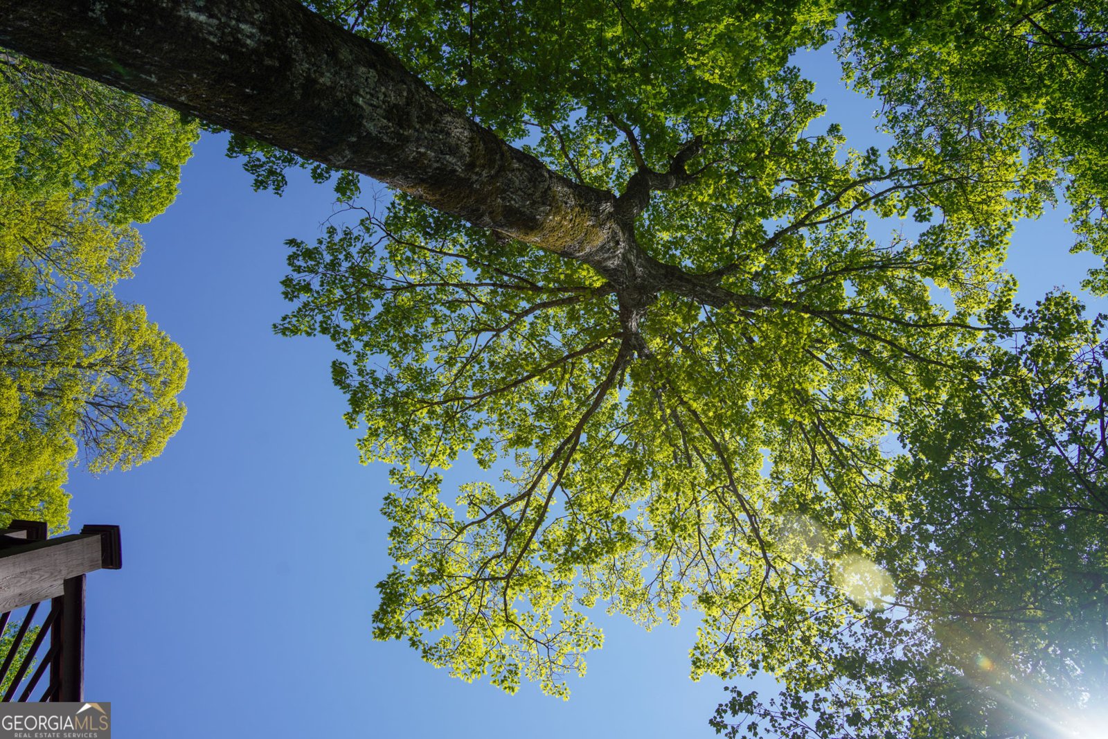 1289 Rainwater Trail Tiger - Photo 65