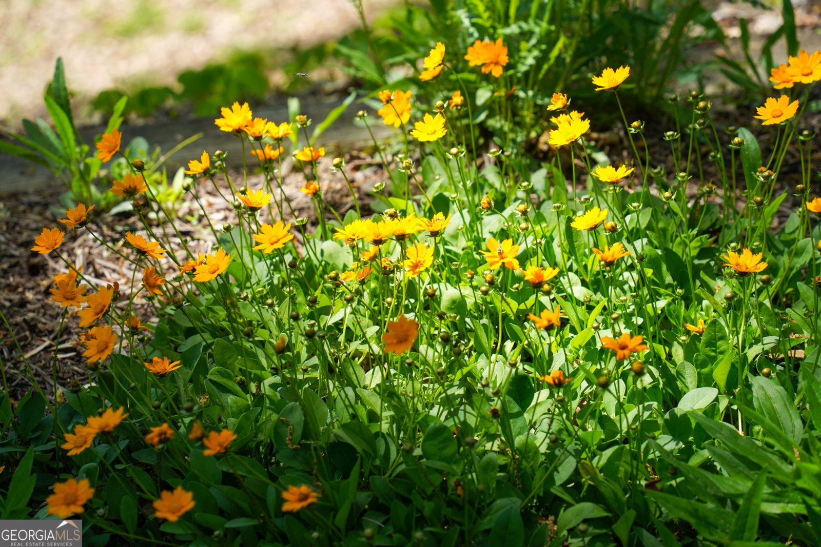 1289 Rainwater Trail Tiger - Photo 67