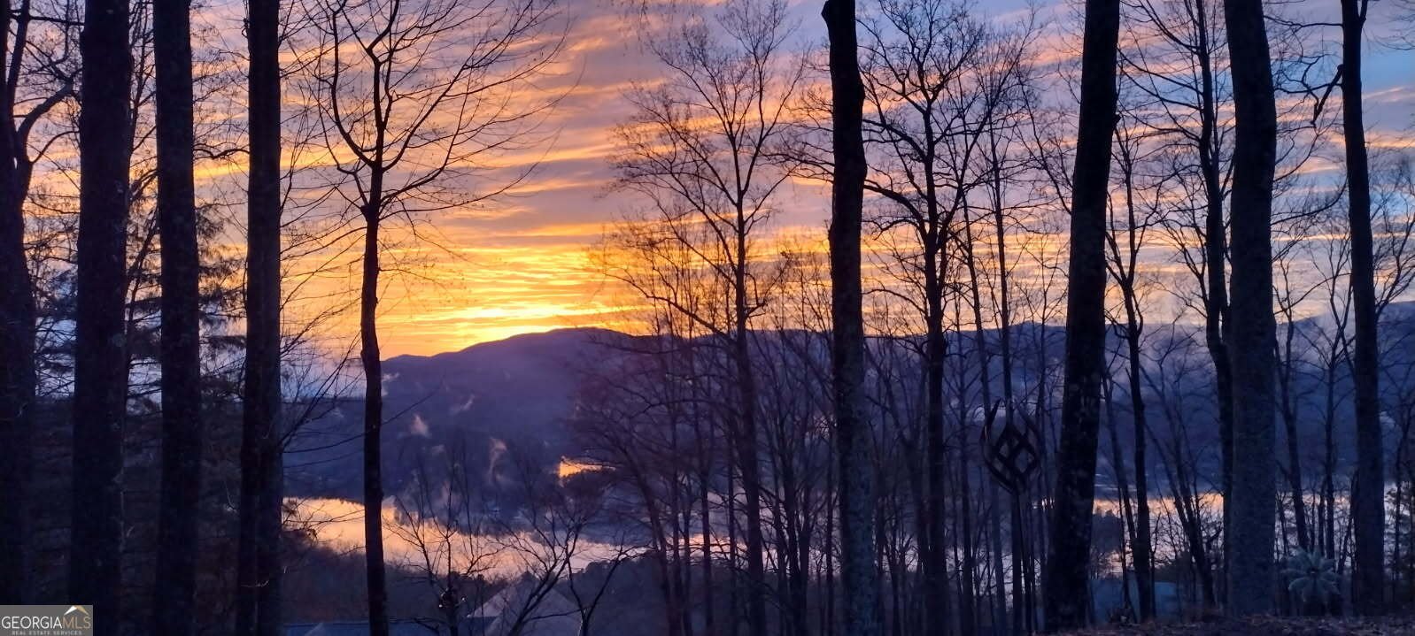 1289 Rainwater Trail Tiger - Photo 8