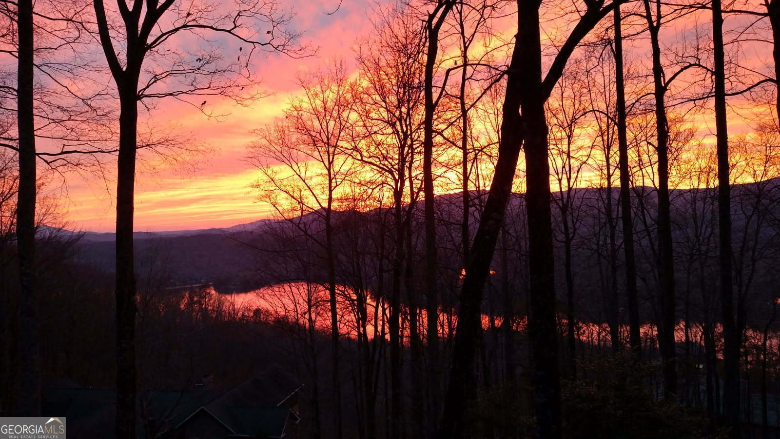 1289 Rainwater Trail Tiger - Photo 9