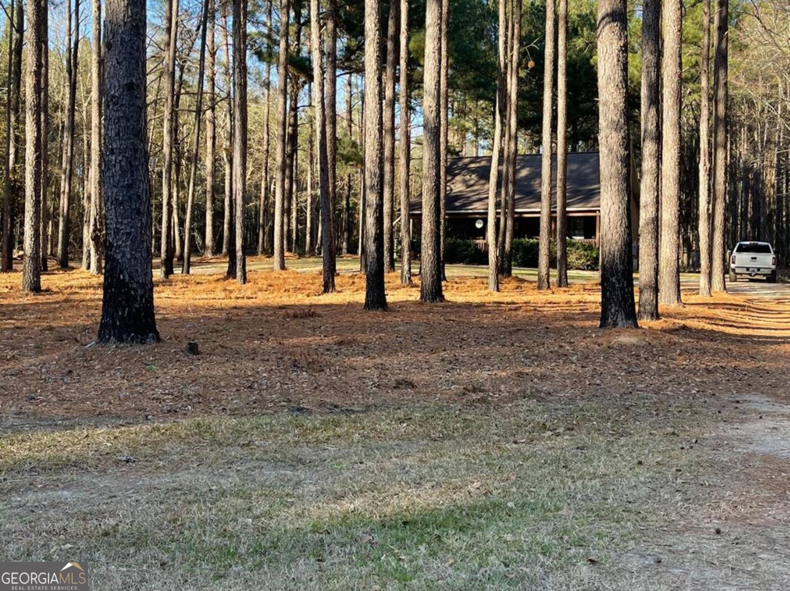 238 Cassie Ree Road Statesboro - Photo 15