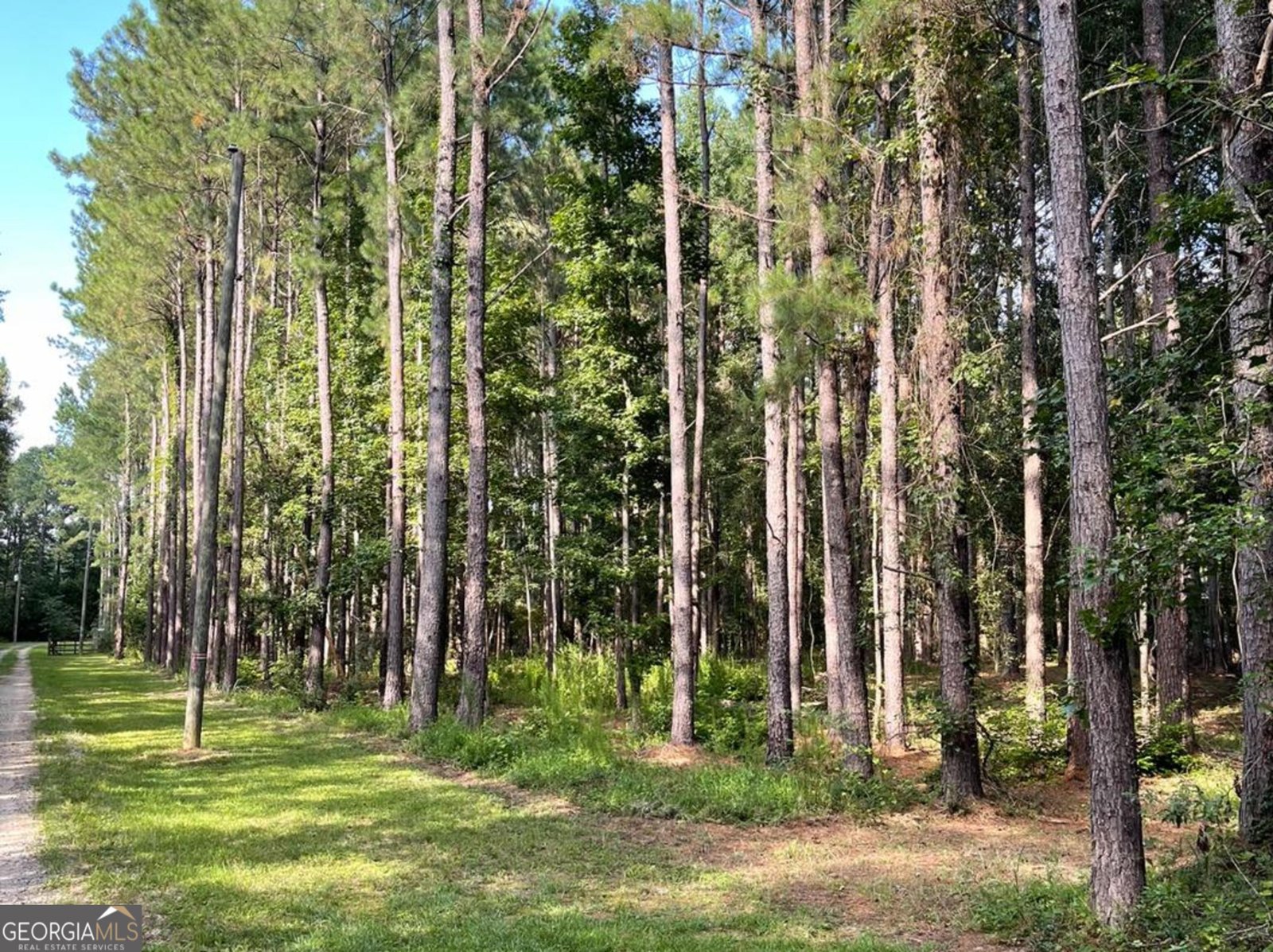 238 Cassie Ree Road Statesboro - Photo 16