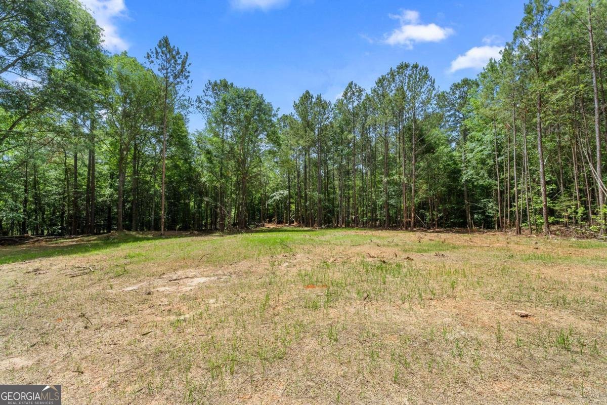 1617 Sweet City Road Elberton - Photo 26