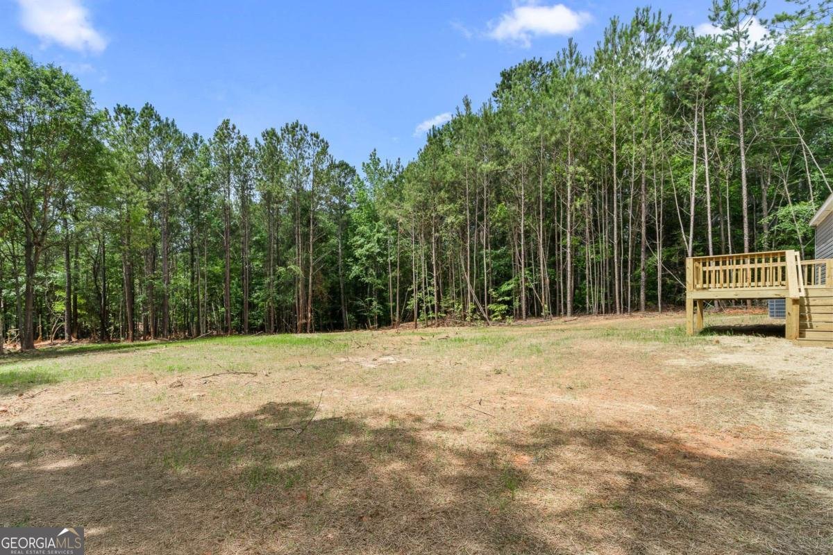 1617 Sweet City Road Elberton - Photo 27