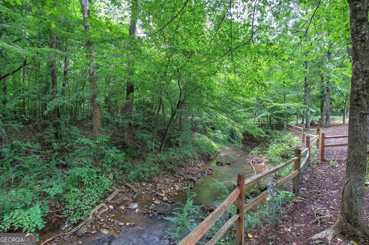 346 Thorn Creek Way Dallas - Photo 46