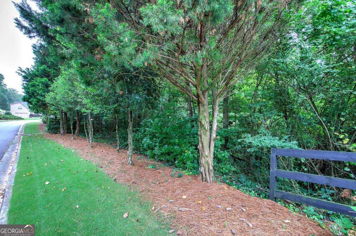 346 Thorn Creek Way Dallas - Photo 49