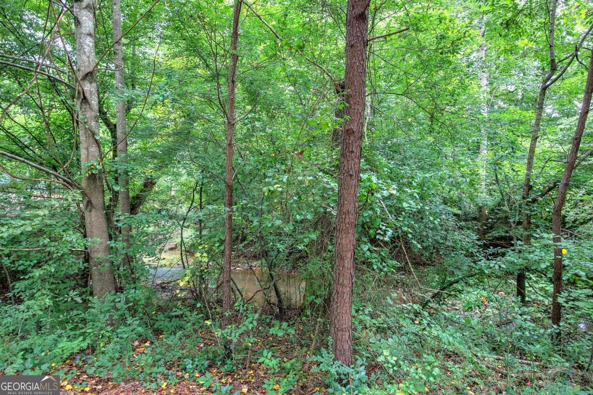 346 Thorn Creek Way Dallas - Photo 50