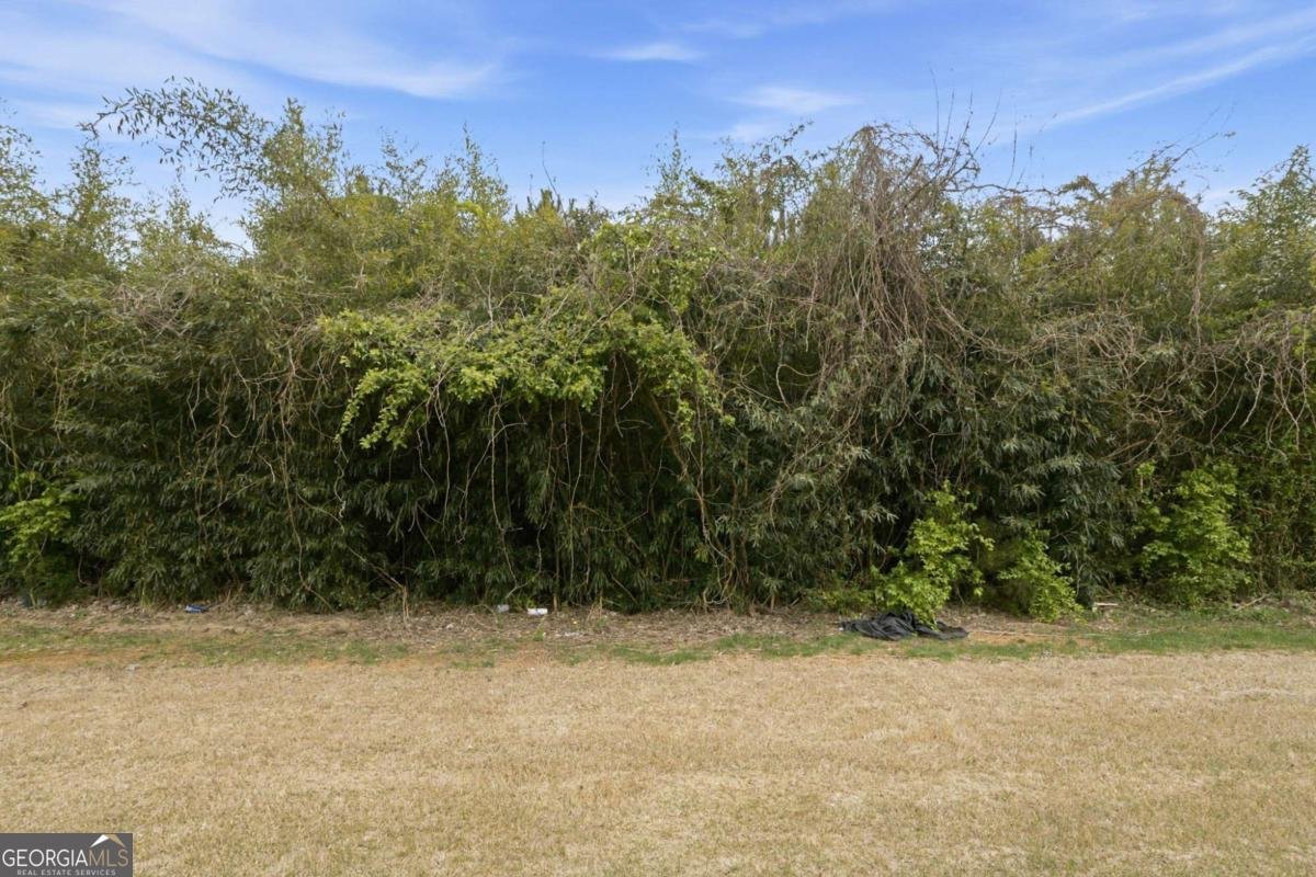 122 Lexington Avenue Griffin - Photo 33