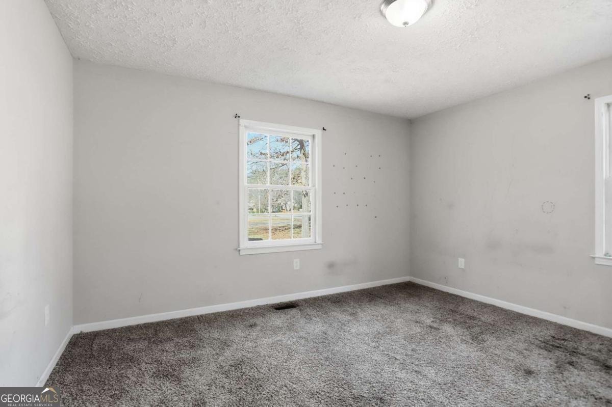 175 Wellington Drive Mcdonough - Photo 17