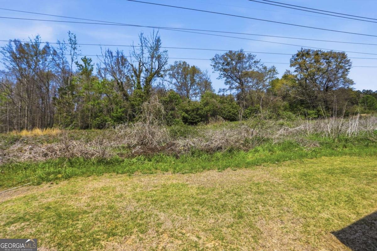 133 Lexington Avenue Griffin - Photo 28