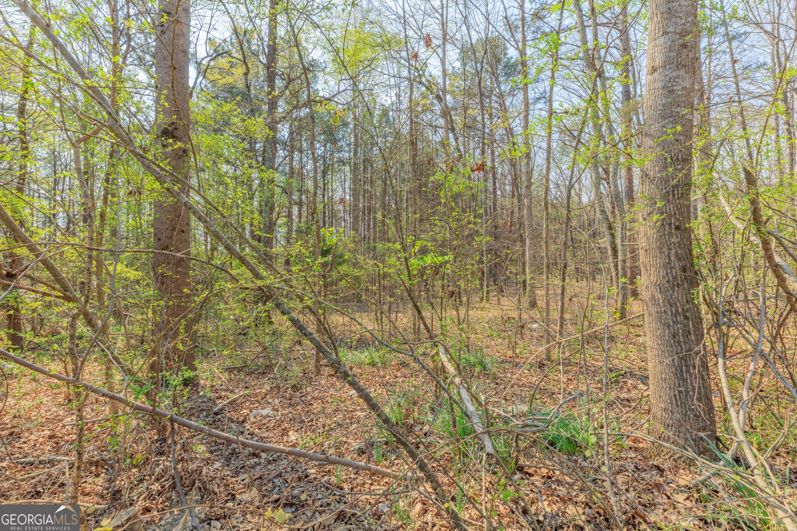 177 Reed Road Lafayette - Photo 29