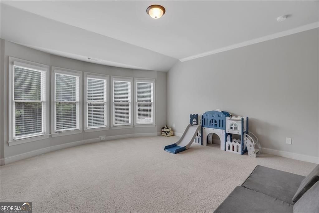 211 Maggies Road Canton - Photo 42