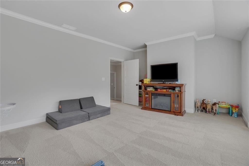 211 Maggies Road Canton - Photo 43