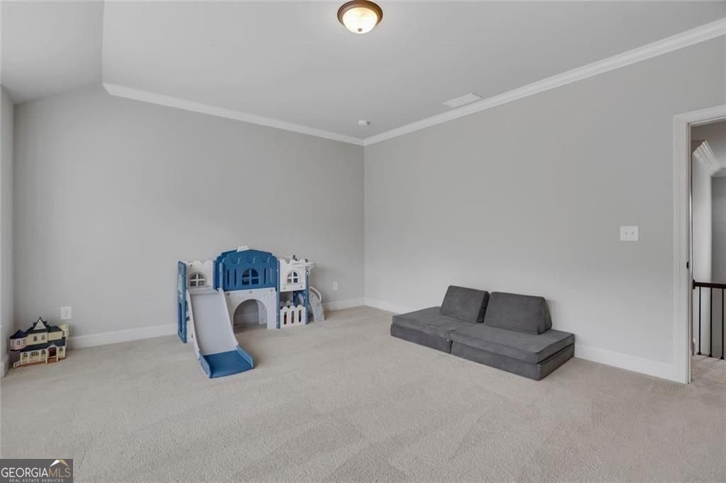 211 Maggies Road Canton - Photo 44