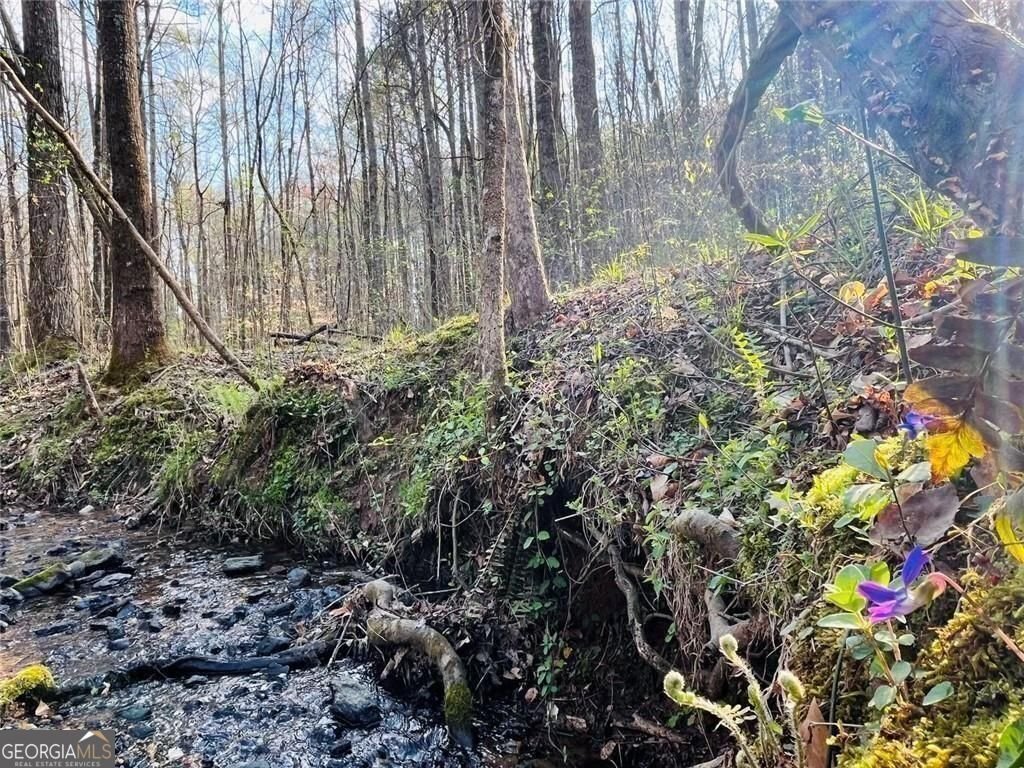 211 Maggies Road Canton - Photo 64