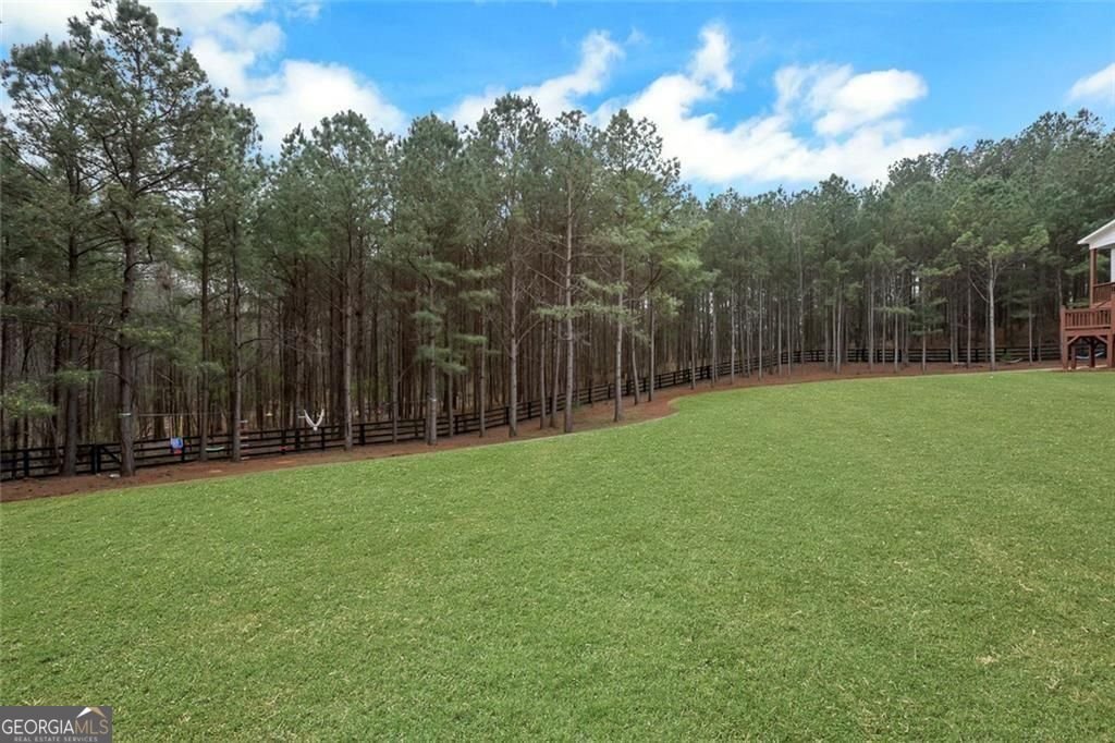 211 Maggies Road Canton - Photo 68