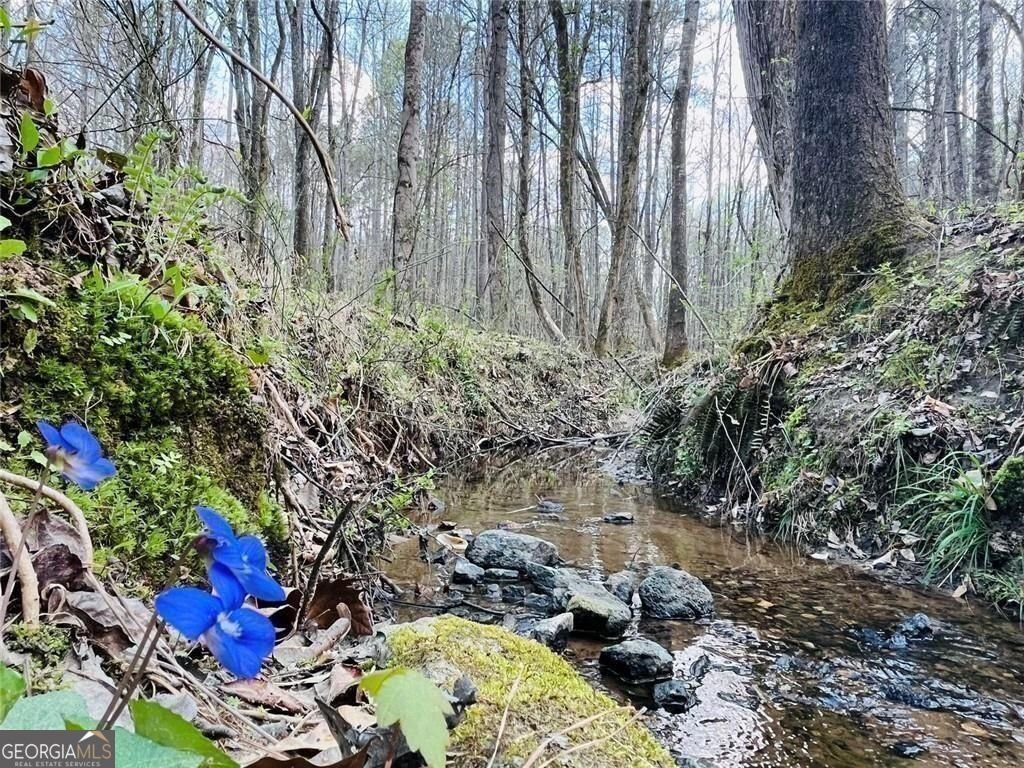 211 Maggies Road Canton - Photo 70