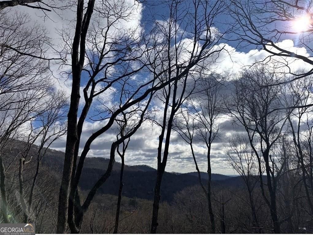 511 Hickory Trail Jasper - Photo 73