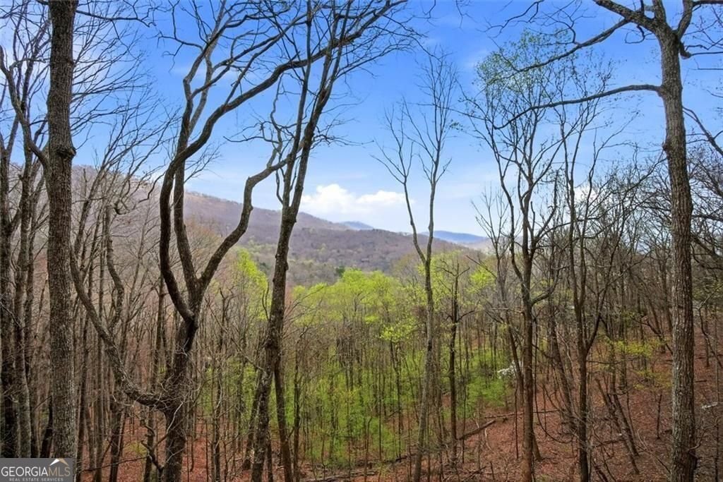 511 Hickory Trail Jasper - Photo 74