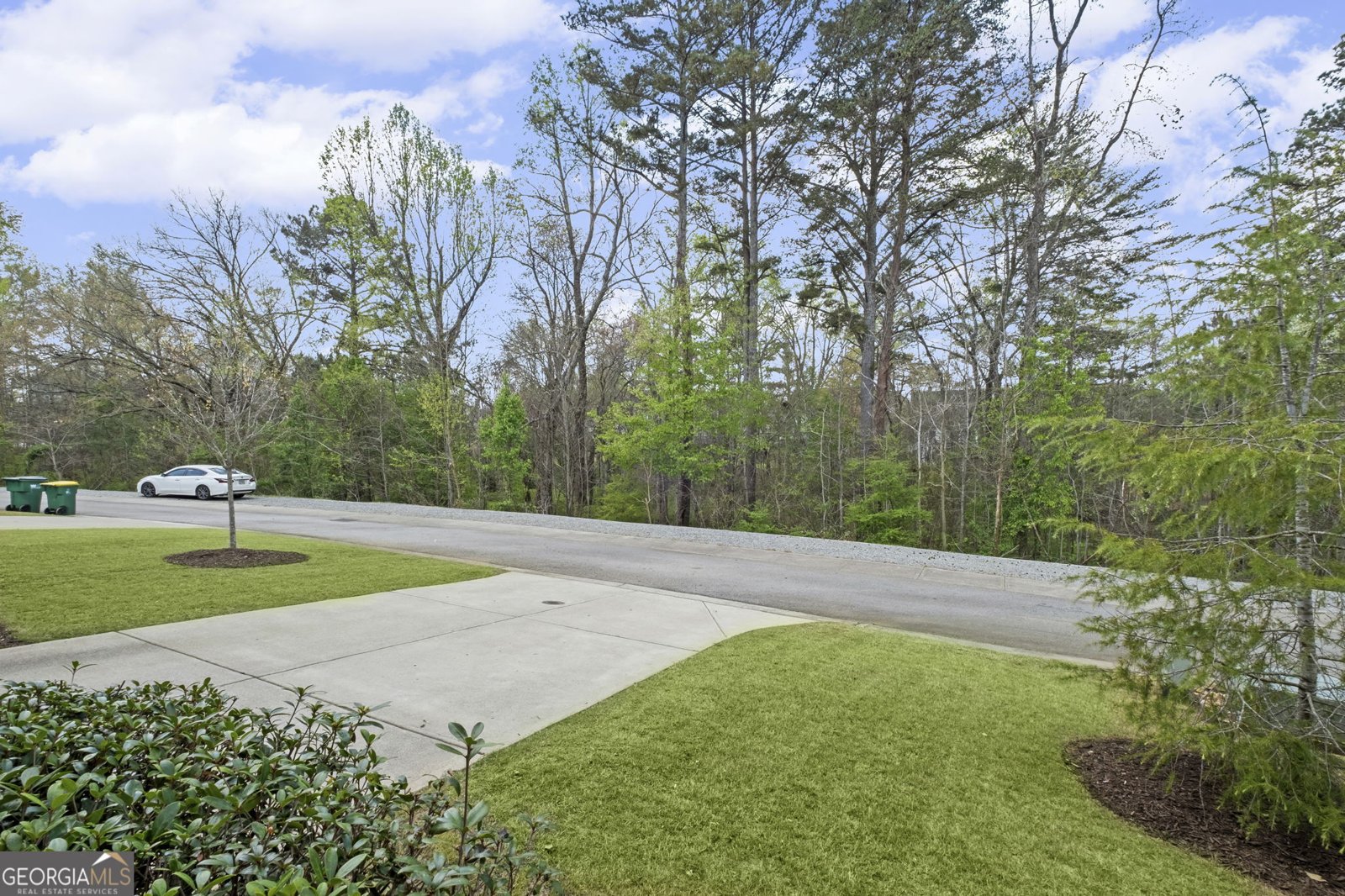 2304 Isla Run Woodstock - Photo 51