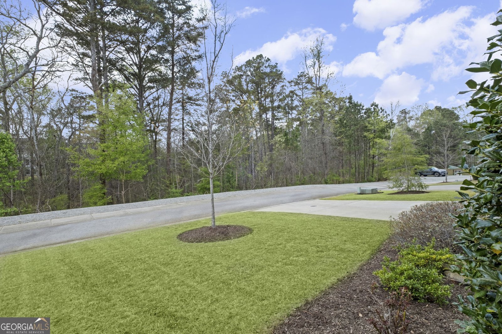 2304 Isla Run Woodstock - Photo 52