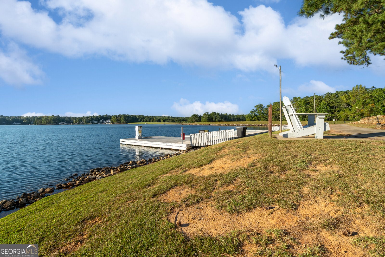 10119 Waterside Court Villa Rica - Photo 67