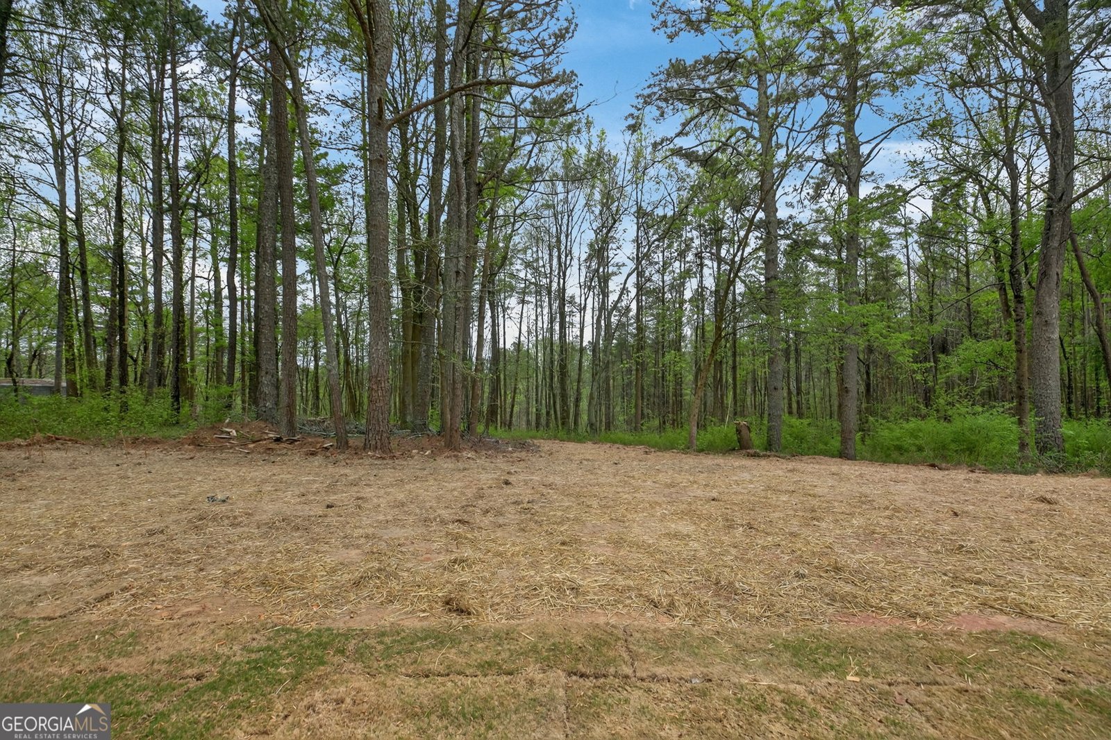 1955 GOLDMINE Road Dallas - Photo 28