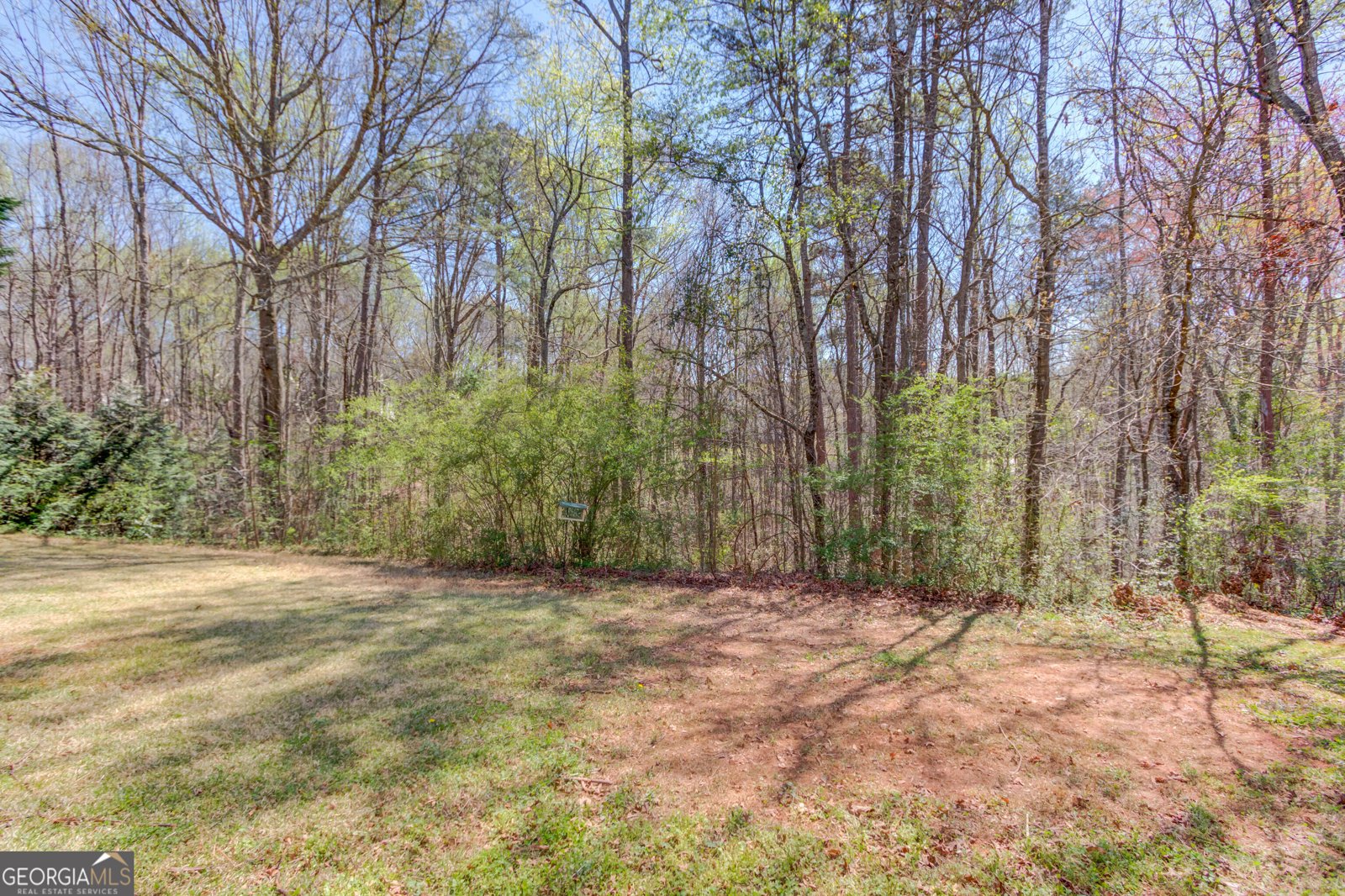 231 Station Drive Pendergrass - Photo 50