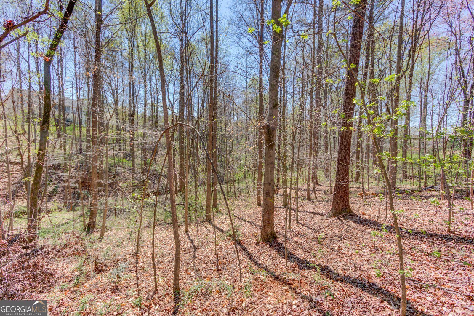 231 Station Drive Pendergrass - Photo 54