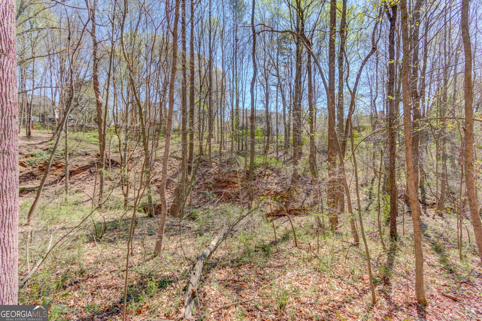 231 Station Drive Pendergrass - Photo 55