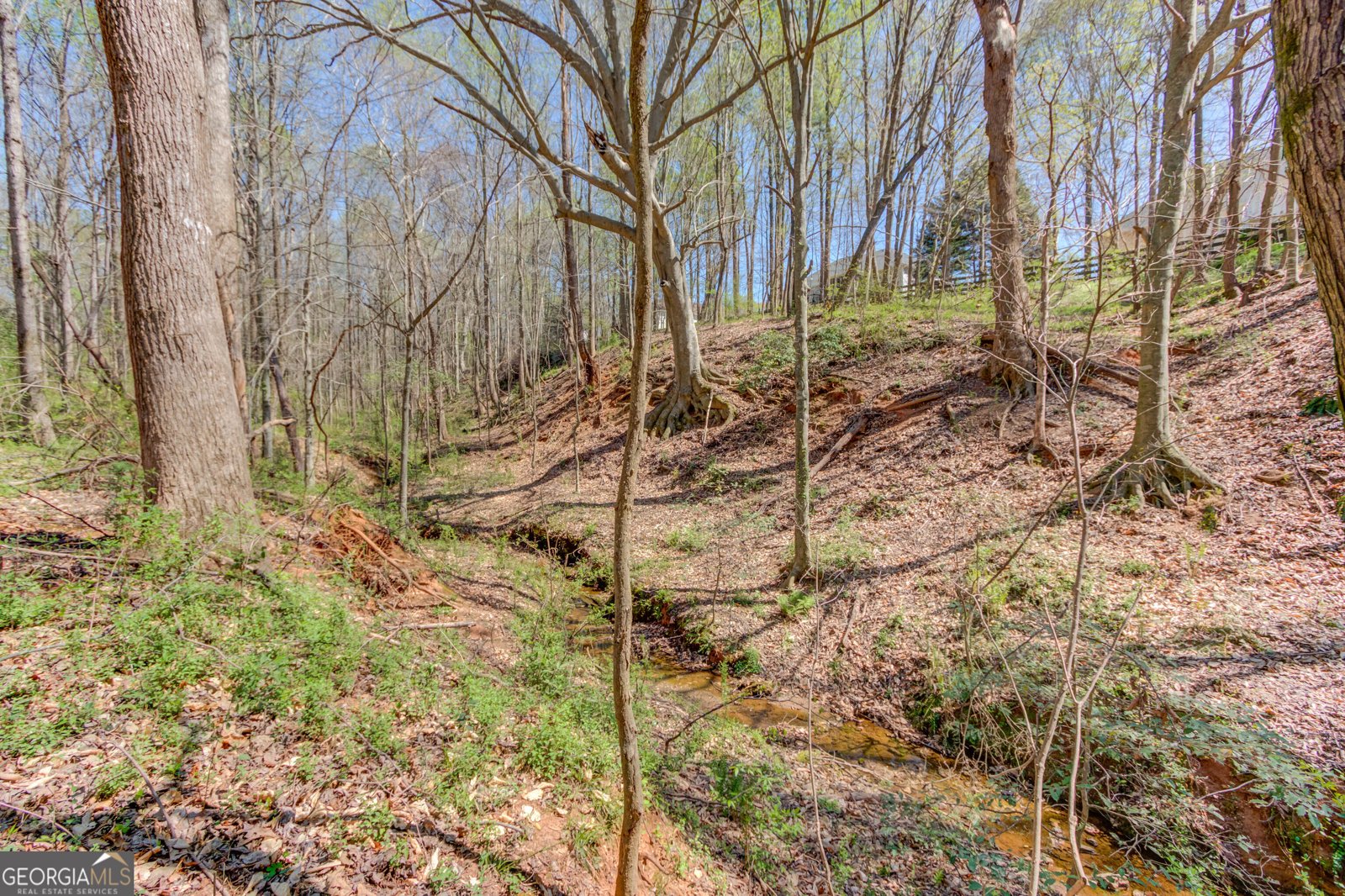 231 Station Drive Pendergrass - Photo 56