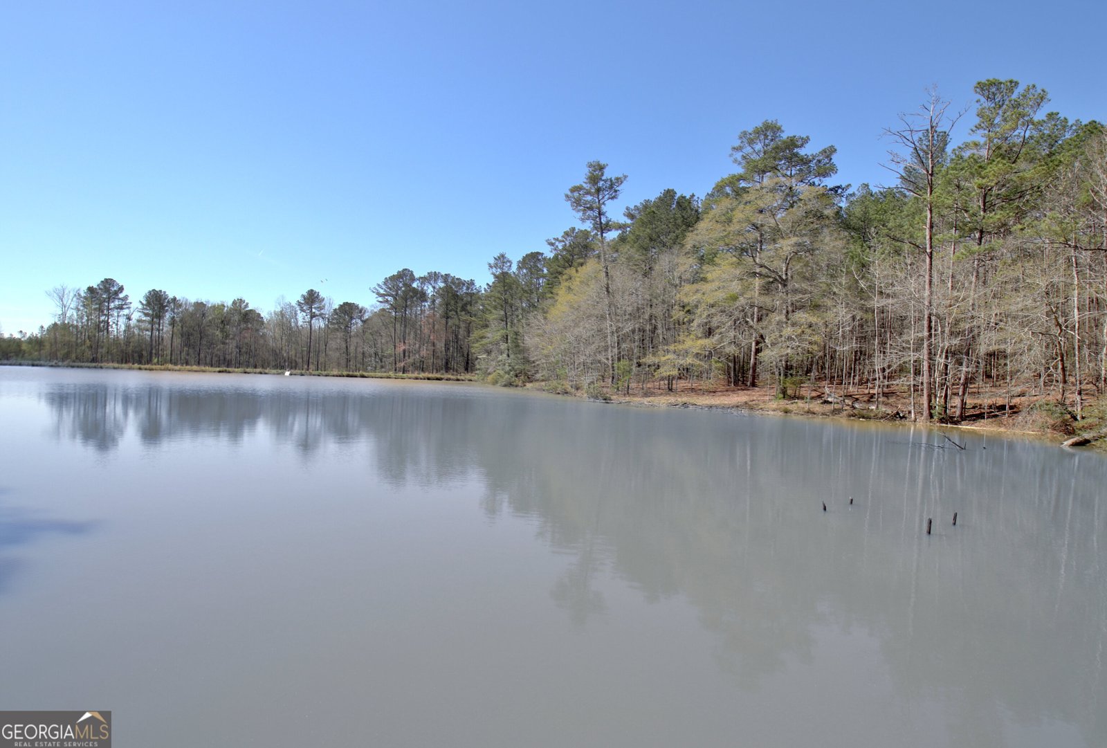 1268 GA Highway 208 Hamilton - Photo 70