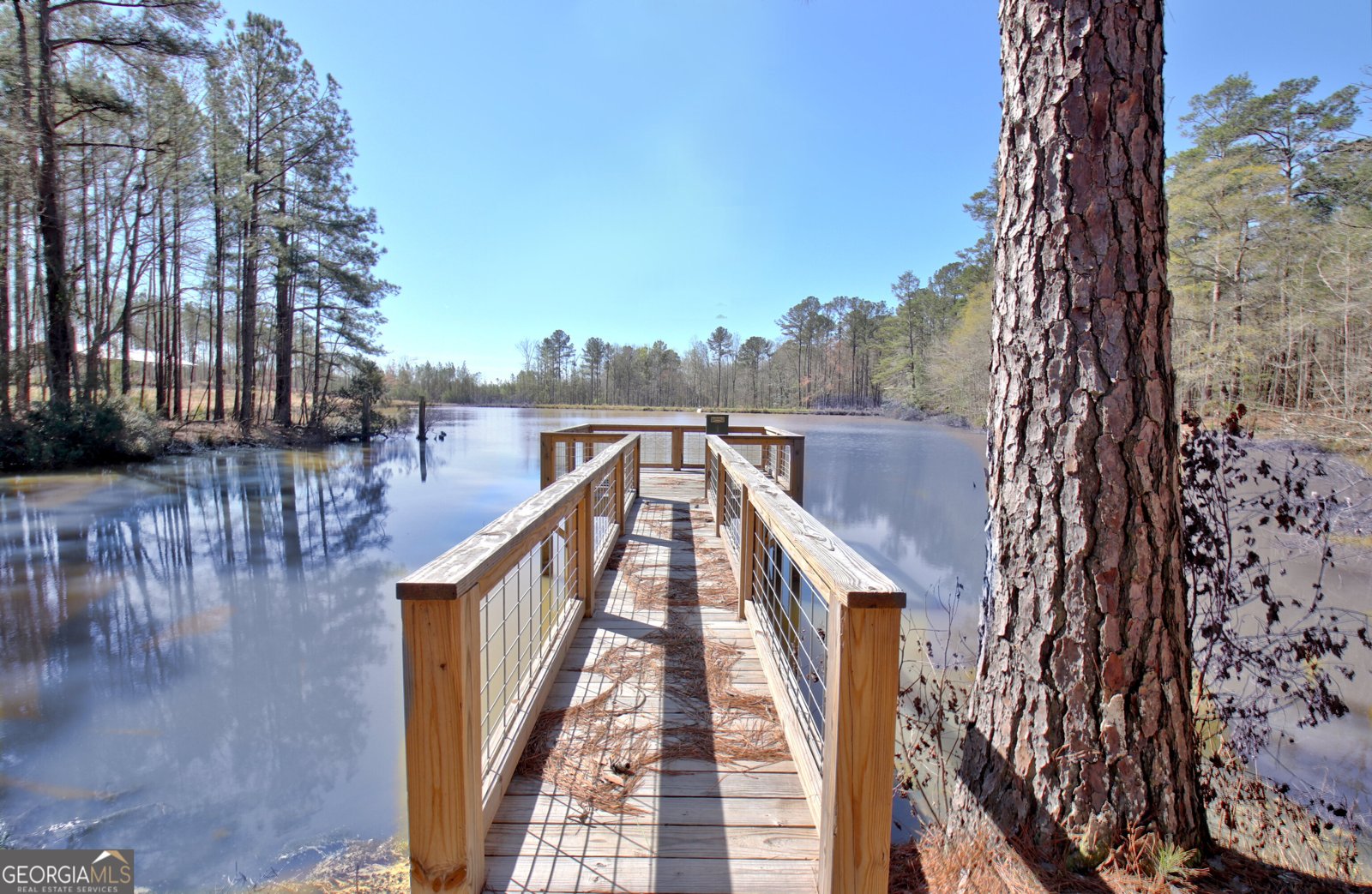 1268 GA Highway 208 Hamilton - Photo 74