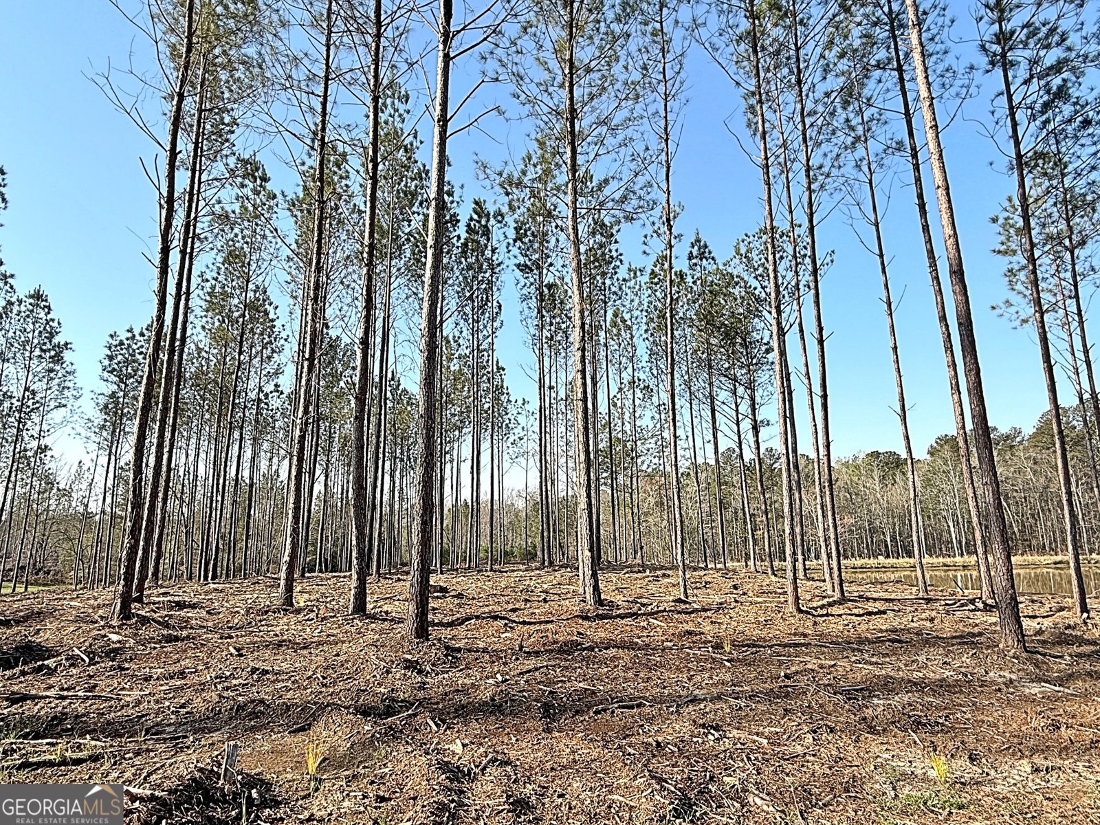 1268 GA Highway 208 Hamilton - Photo 78