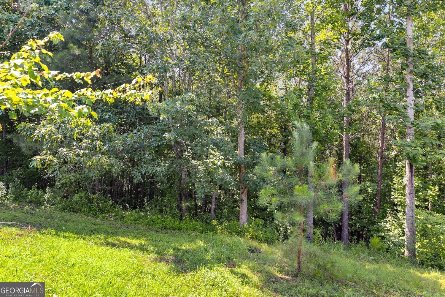 80 Jacob Trail Rockmart - Photo 22