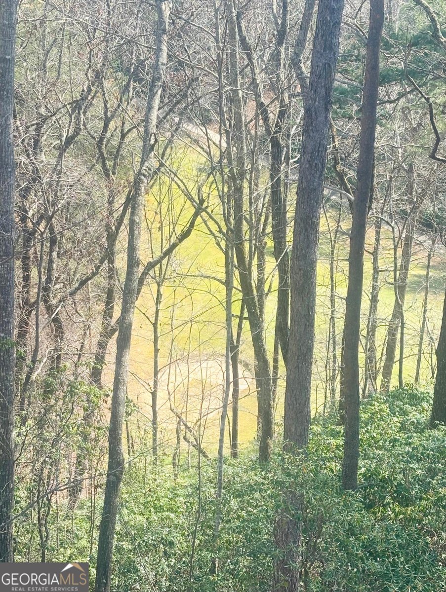 364 Rosen Strasse Helen - Photo 16