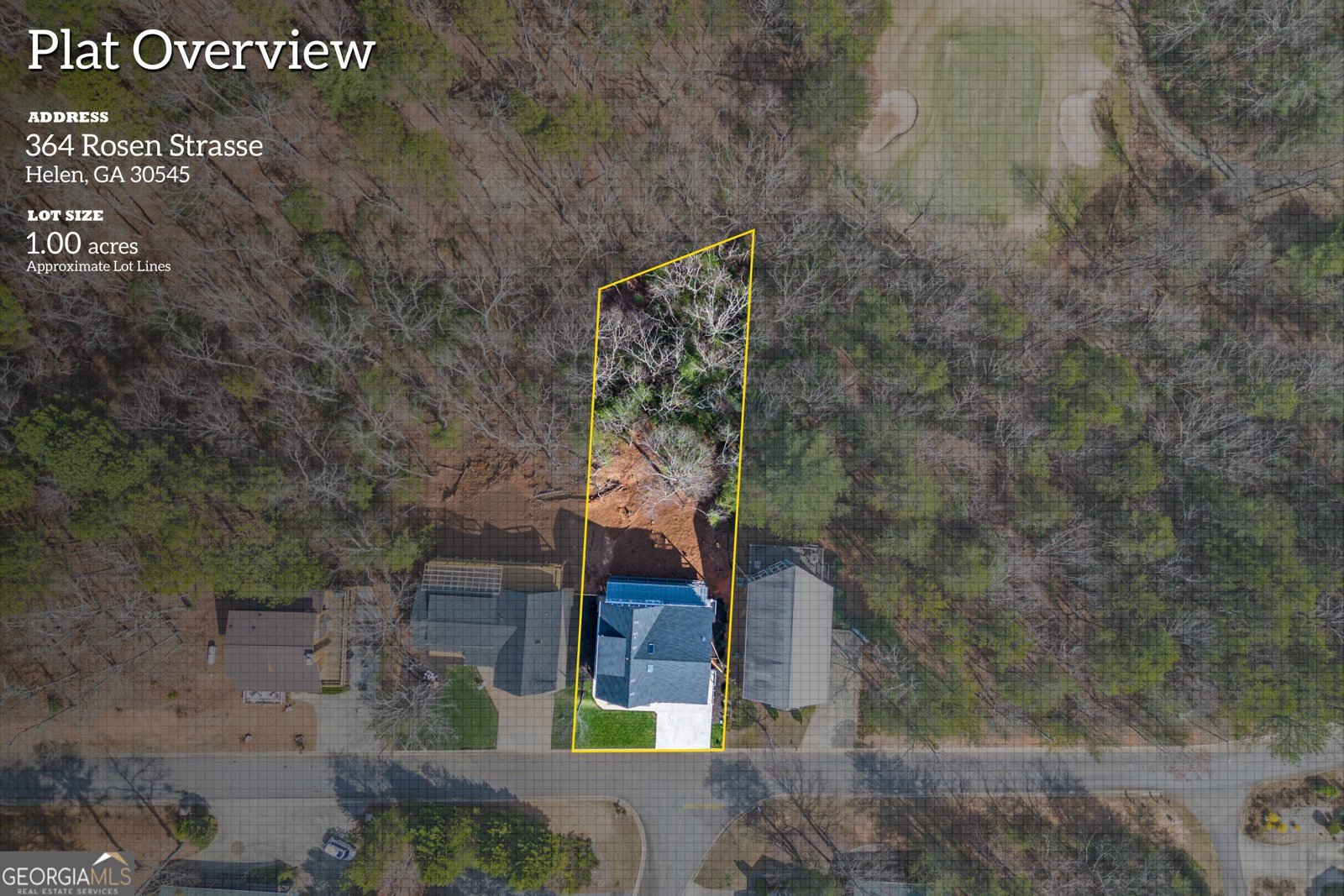 364 Rosen Strasse Helen - Photo 45