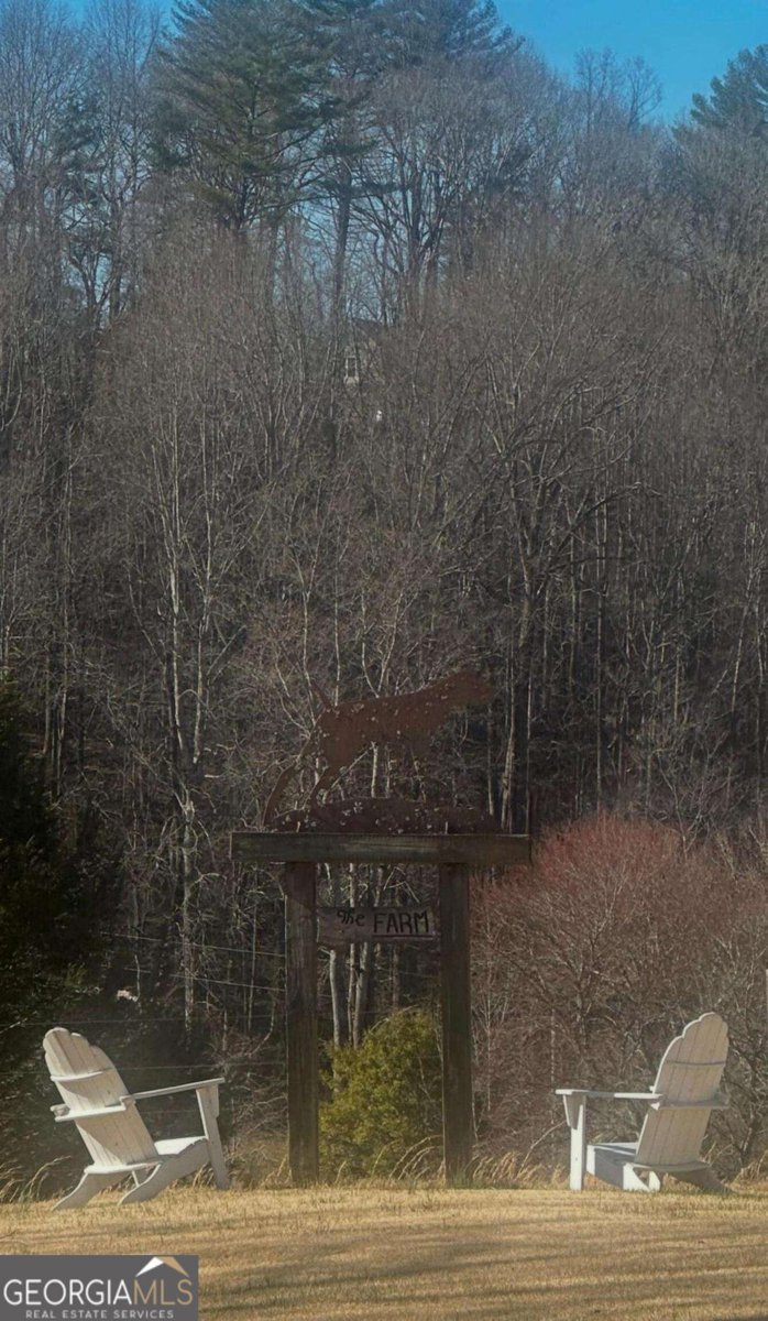 708 Hub Tatum Road Sautee Nacoochee - Photo 34