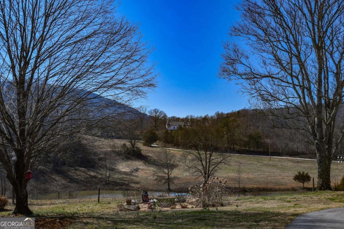 708 Hub Tatum Road Sautee Nacoochee - Photo 98