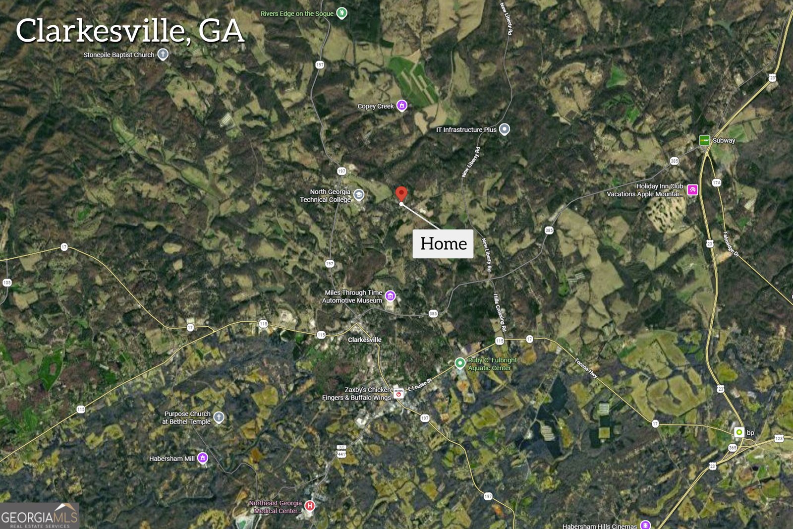 115 Settlers Point Drive Clarkesville - Photo 6